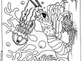Jeux De Coloriage Gratuit En Ligne Pour Garçon 68 Best Coloriages Animaux Marins Images On Pinterest