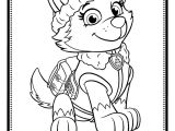 Jeux De Coloriage Pat Patrouille Print Paw Patrol Everest Coloring Pages