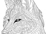 Jeux De Coloriage Pour Adulte Amazon Livre De Coloriage Pour Adultes Loups 1 Nick Snels