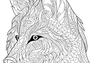 Jeux De Coloriage Pour Adulte Amazon Livre De Coloriage Pour Adultes Loups 1 Nick Snels