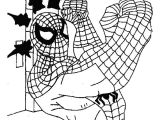 Jeux De Coloriage Spiderman Gratuit En Ligne Coloriage Spiderman Moto Dessin