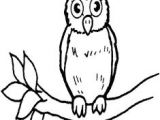 Jeux De Tux Paint Coloriage 91 Meilleures Images Du Tableau Coloriages Animaux Du