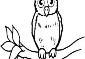 Jeux De Tux Paint Coloriage 91 Meilleures Images Du Tableau Coloriages Animaux Du