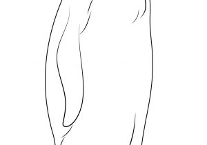 Jeux De Tux Paint Coloriage Penguins Coloring Pages