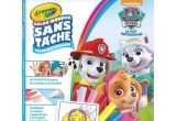 Kit Coloriage Pas Cher Crayola Color Wonder 5100 Kit Pat Patrouille Achat