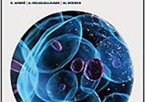 La Tempête Apaisée Coloriage Balbooks Ns Shares Livres Pdf Allemands Tél