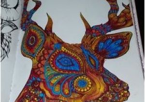 Livre Coloriage Anti Stress Hachette Du Livre Nouveau Bestiaire Extraordinaire 100 Coloriages Anti Sess