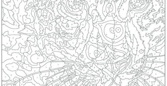 Livre Coloriage Mystere Adulte Coloriages Mysteres Hledat Googlem Colouring Pages