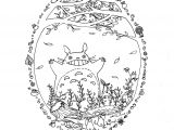 Livre Coloriage totoro Site Pour Imprimer Des Coloriages totoro Par Chocobo Artherapie