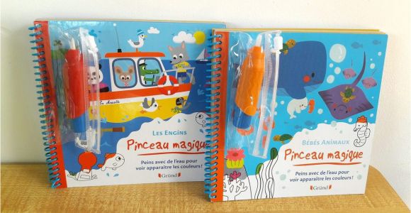 Livre De Coloriage à L Eau Pinceau Magique Une Collection De Livres Pour Peindre