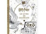 Livre De Coloriage Adulte Leclerc Les 33 Meilleures Images De Art Thérapie