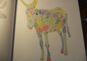 Livre De Coloriage Anti Stress Pour Adultes Tropical Animaux Fantastiques