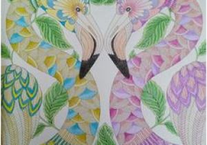 Livre De Coloriage Anti Stress Pour Adultes Tropical Les 132 Meilleures Images De Coloriaged