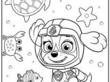 Malette De Coloriage Pat Patrouille 49 Meilleures Images Du Tableau Jouets Paw Patrol Pat