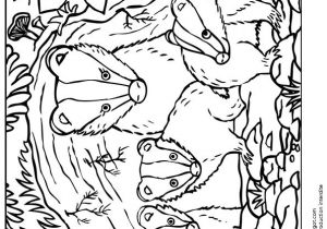 Mes Coloriages Preferes 77 Best Coloriages De Bébés Animaux Images On Pinterest
