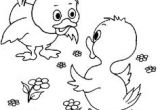 Mescoloriages.com Paques Dessins De P¢ques Mod¨les De Lapins Poules Et Poussins – Gabarits