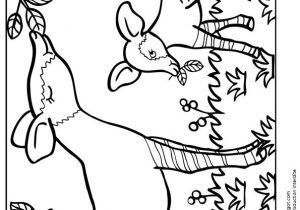 Modele Coloriage Enfant 77 Best Coloriages De Bébés Animaux Images On Pinterest
