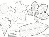 Modele Coloriage Feuille D Automne 21 Beau Idées Dessin D Automne Colorier