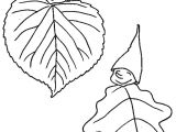 Modele Coloriage Feuille D Automne Coloriage Octobre Les Beaux Dessins De Les Mois   Imprimer Et