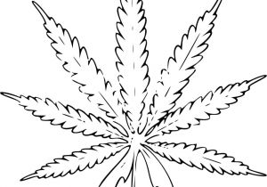 Modele Coloriage Feuille D Automne Coloriage Une Feuille Excellent Mod¨le Coloriage Feuille De Cannabis