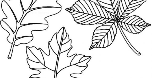 Modele Coloriage Feuille D Automne Résultat De Recherche D Images Pour "dessin Feuille Automne
