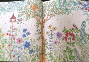 Mon Jardin Secret Coloriage 20 Meilleur De Mon Jardin Secret