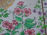 Mon Jardin Secret Coloriage 43 Best Mon Jardin Secret Images On Pinterest