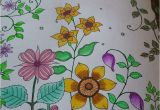 Mon Jardin Secret Coloriage 43 Best Mon Jardin Secret Images On Pinterest
