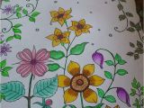 Mon Jardin Secret Coloriage 43 Best Mon Jardin Secret Images On Pinterest