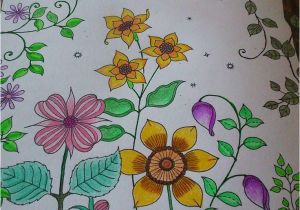 Mon Jardin Secret Coloriage 43 Best Mon Jardin Secret Images On Pinterest