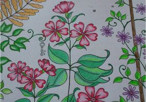 Mon Jardin Secret Coloriage 43 Best Mon Jardin Secret Images On Pinterest