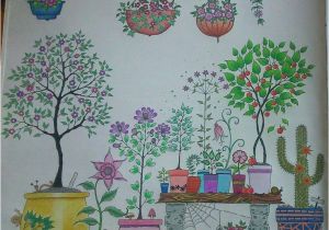 Mon Jardin Secret Coloriage 43 Best Mon Jardin Secret Images On Pinterest