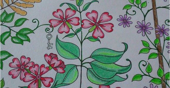 Mon Jardin Secret Coloriage 43 Best Mon Jardin Secret Images On Pinterest
