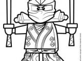 Ninja Coloriage Ninjago Serpent à Imprimer 24 Best Ninjago Coloring Images On Pinterest