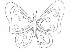Papillon Coloriage A Imprimer Coloriage Papillons A Imprimer Gratuit Coloriage Imprimer