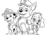 Pat Patrouille Stella Coloriage 126 Best Dessins Pat Patrouille Et Autre Dessin Animé