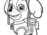 Pat Patrouille Stella Coloriage Coloriage De Stella à Colorier – La Pat Patrouille