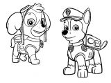Pat Patrouille Stella Coloriage Coloriage Et Dessins Pat Patrouille Ou Paw Patrol