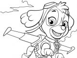 Pat Patrouille Stella Coloriage Coloriage Et Dessins Pat Patrouille Ou Paw Patrol