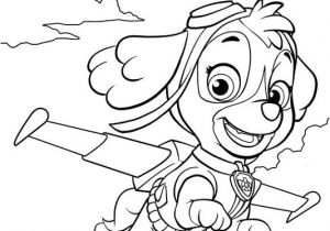 Pat Patrouille Stella Coloriage Coloriage Et Dessins Pat Patrouille Ou Paw Patrol