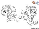 Pat Patrouille Stella Coloriage Coloriage Pat Patrouille Everest Et Stella Colorier Dessin