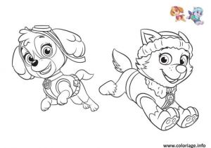 Pat Patrouille Stella Coloriage Coloriage Pat Patrouille Everest Et Stella Colorier Dessin