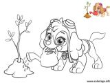 Pat Patrouille Stella Coloriage Coloriage Pat Patrouille Stella Colorier 2 Fleurs