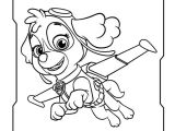 Pat Patrouille Stella Coloriage Coloriage Stella Skye En Plein Vol Pat Patrouille Dessin