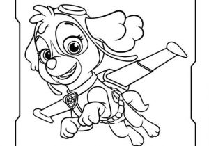 Pat Patrouille Stella Coloriage Coloriage Stella Skye En Plein Vol Pat Patrouille Dessin