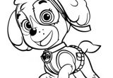 Pat Patrouille Stella Coloriage Coloriages Archive – La Pat Patrouille