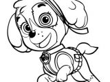 Pat Patrouille Stella Coloriage Coloriages Archive – La Pat Patrouille