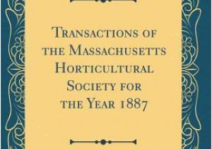 Père Noël Coloriage Noel Epub forum