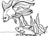 Poisson Rouge Jeux Gratuit Coloriage 26 Meilleures Images Du Tableau Petit Poisson Rouge
