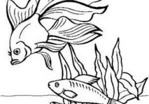 Poisson Rouge Jeux Gratuit Coloriage 26 Meilleures Images Du Tableau Petit Poisson Rouge
